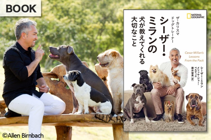 シーザー ミランの 犬が教えてくれる大切なこと ストア ナショナルジオグラフィック日本版サイト シーザー ミランの 犬が教えてくれる大切なこと ストア ナショナルジオグラフィック日本版サイト