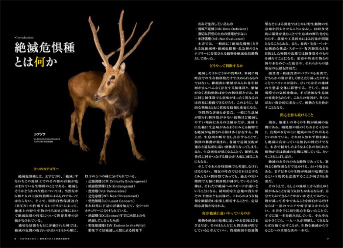 100年後も見たい 動物園で会える絶滅危惧動物 サンプル画像①