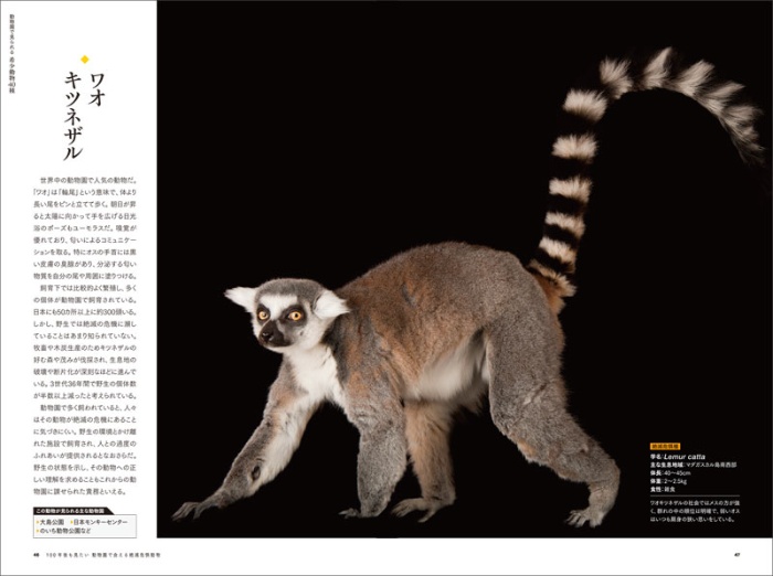 100年後も見たい 動物園で会える絶滅危惧動物 サンプル画像④