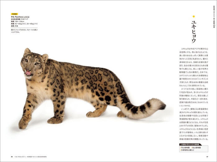 100年後も見たい 動物園で会える絶滅危惧動物 サンプル画像⑤