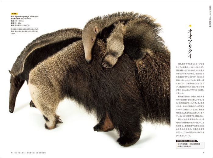 100年後も見たい 動物園で会える絶滅危惧動物 サンプル画像⑥