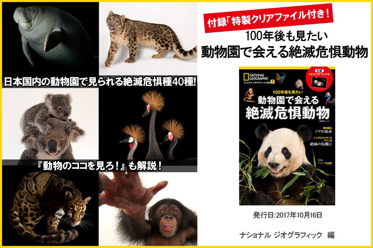 100年後も見たい 動物園で会える絶滅危惧動物 ストア ナショナルジオグラフィック日本版サイト