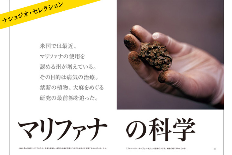 マリファナの科学 | 書籍 | ナショナル ジオグラフィック日本版サイト