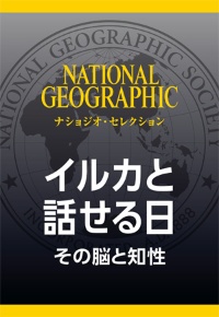 人にもできる 音で周囲を知覚する 反響定位 のしくみ ナショナルジオグラフィック日本版サイト 人にもできる 音で周囲を知覚する 反響定位 のしくみ ナショナルジオグラフィック日本版サイト