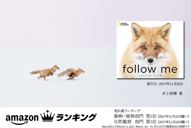 Follow Me ふゆのきつね ストア ナショナルジオグラフィック日本版サイト