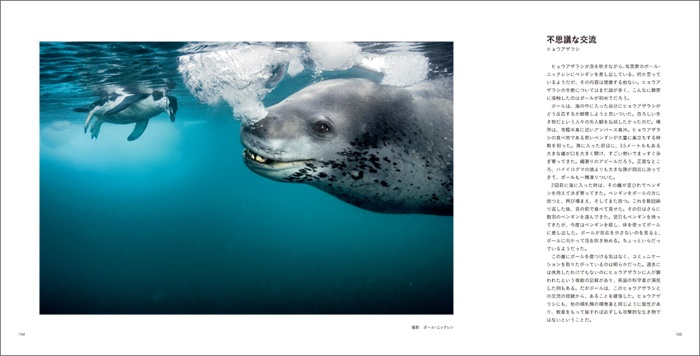 写真家だけが知っている 動物たちの物語 サンプル画像①