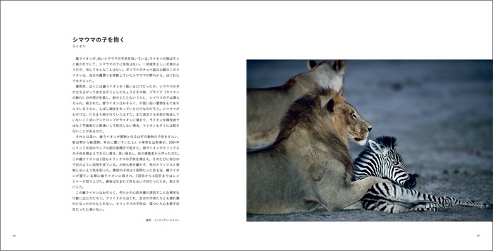 写真家だけが知っている 動物たちの物語 サンプル画像③