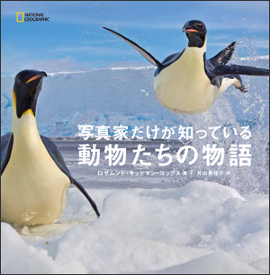 どっちが強い 動物異種格闘戦 貴重な動画が大集合 ナショナルジオグラフィック日本版サイト