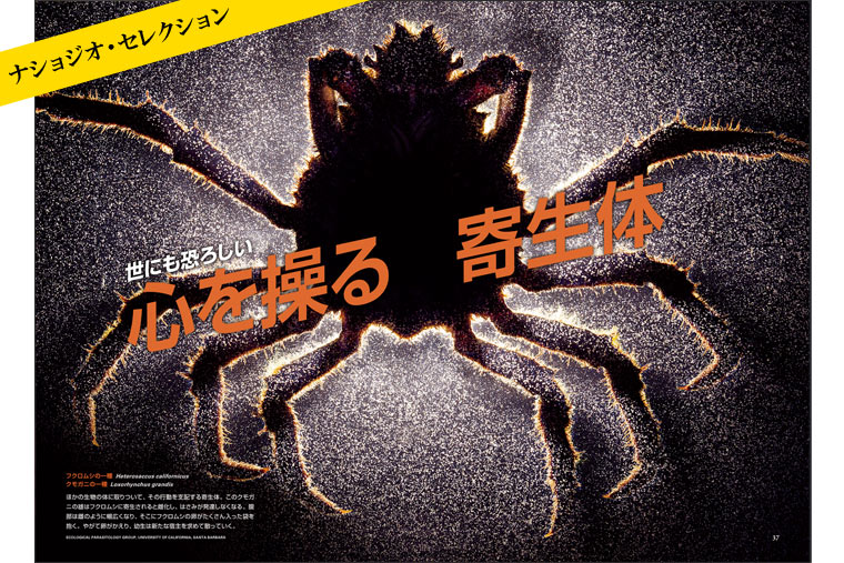 心を操る寄生体 | 書籍 | ナショナル ジオグラフィック日本版サイト