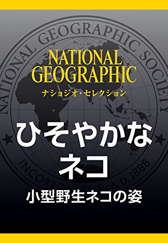 猫の 利き手 を研究 オスは左でメスは右 ナショナルジオグラフィック日本版サイト