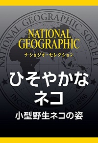 猫の 利き手 を研究 オスは左でメスは右 ナショナルジオグラフィック日本版サイト 猫の 利き手 を研究 オスは左でメスは右 ナショナルジオグラフィック日本版サイト