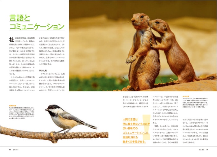 【ナショジオ別冊】動物の心 サンプル画像③