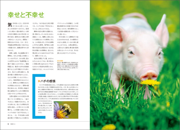 【ナショジオ別冊】動物の心 サンプル画像④