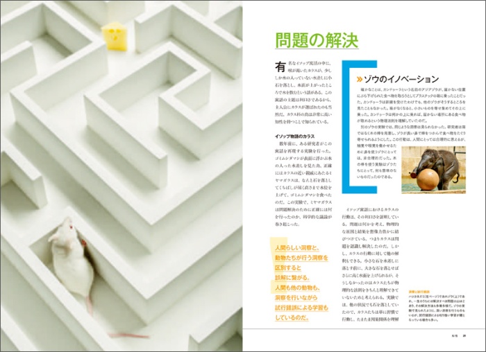 【ナショジオ別冊】動物の心 サンプル画像⑥