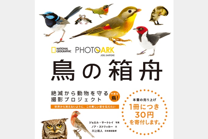 Photo Ark 鳥の箱舟 ストア ナショナルジオグラフィック日本版サイト Photo Ark 鳥の箱舟 ストア ナショナルジオグラフィック日本版サイト