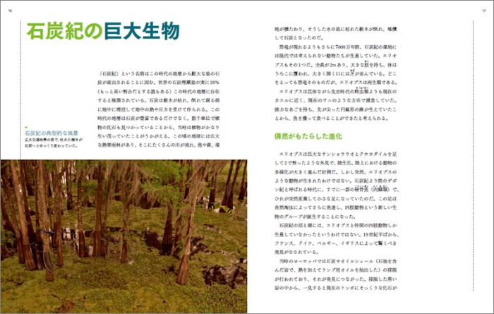 羽毛恐竜と巨大昆虫 サンプル画像①