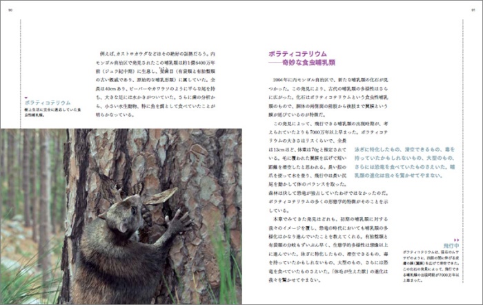 羽毛恐竜と巨大昆虫 サンプル画像③