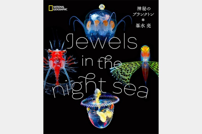 Jewels In The Night Sea 神秘のプランクトン ストア ナショナルジオグラフィック日本版サイト Jewels In The Night Sea 神秘のプランクトン ストア ナショナルジオグラフィック日本版サイト