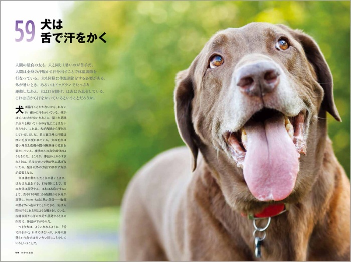 【ナショジオ別冊】科学の迷信 サンプル画像⑤