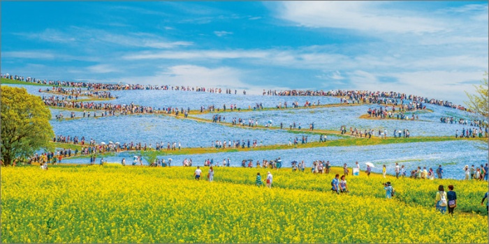 ここでしか見られない 感動する風景! サンプル画像②