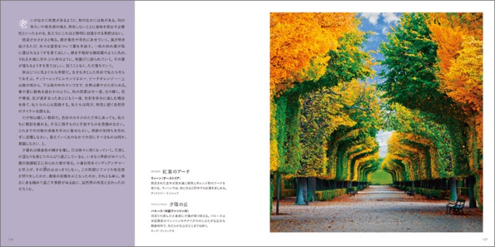 ここでしか見られない 感動する風景! サンプル画像⑤
