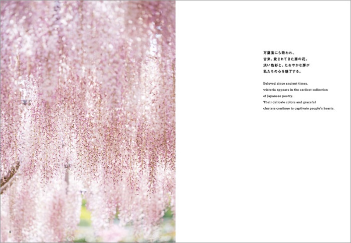 ふじのはな物語 Tales of Wisteria サンプル画像②