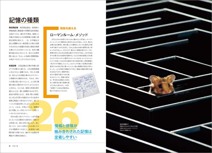 【ナショジオ別冊】脳の謎 サンプル画像②