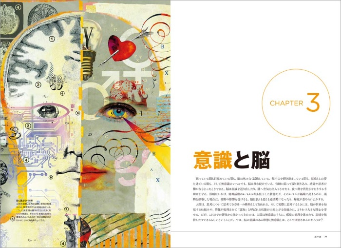 【ナショジオ別冊】脳の謎 サンプル画像④