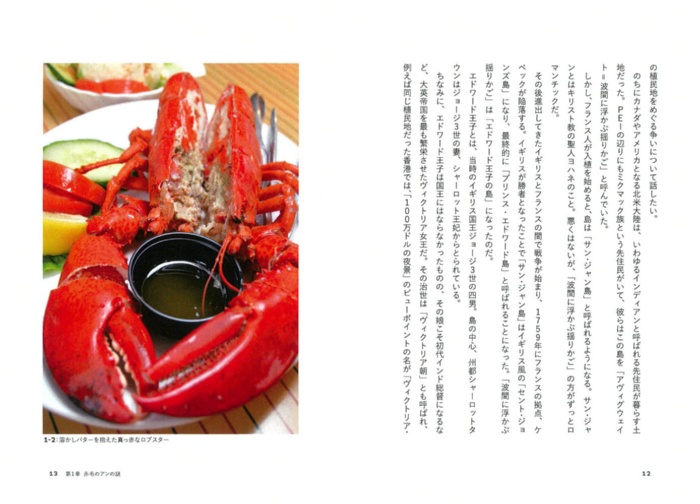 カナダの謎 サンプル画像③