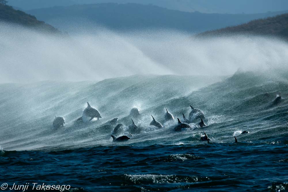 高砂淳二 海の青 English below/ 高砂淳二写真展「PLANET OF WATER」が2024年7月12日