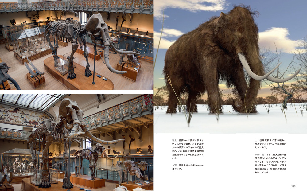 消えた巨大生物 ストアで買う ナショナルジオグラフィック日本版サイト