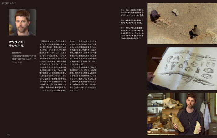 消えた巨大生物 サンプル画像⑤