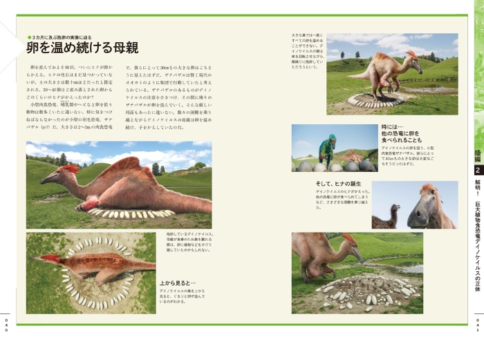 NHKスペシャル 恐竜超世界 サンプル画像②