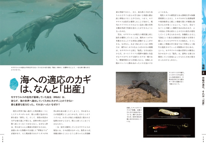 NHKスペシャル 恐竜超世界 サンプル画像⑦