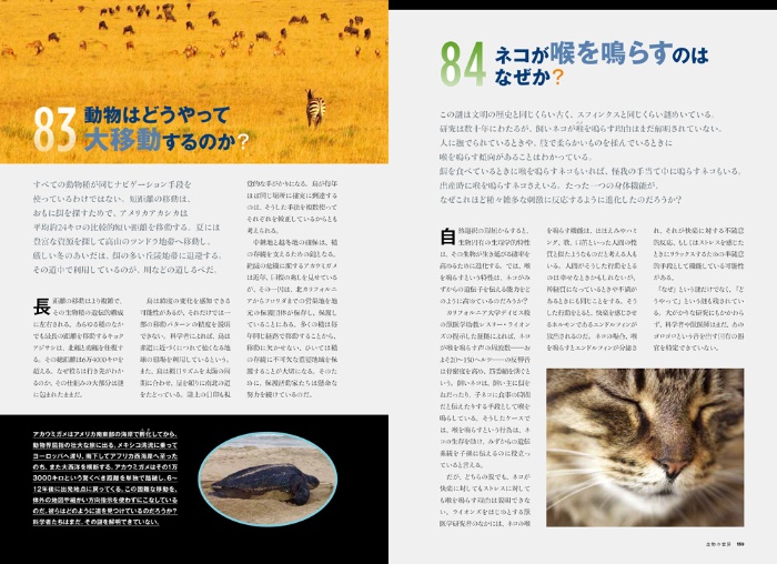 【ナショジオ別冊】科学の謎 サンプル画像⑥