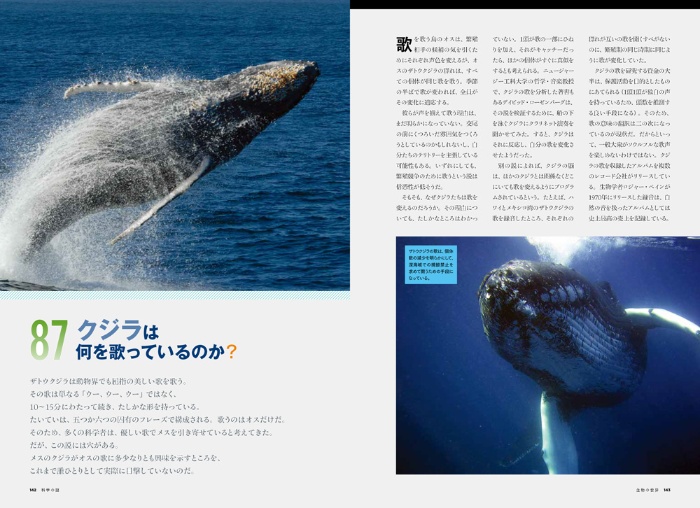 【ナショジオ別冊】科学の謎 サンプル画像⑦