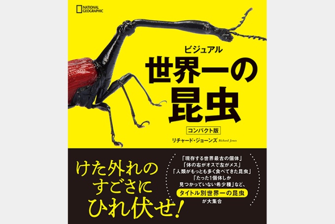 世界 一 長い 名前 虫 Lopebir