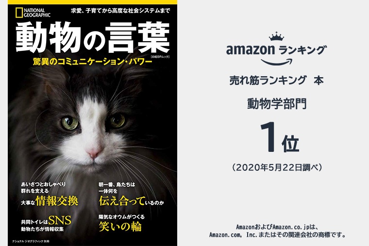 動物の言葉 書籍 ナショナル ジオグラフィック日本版サイト 動物の言葉 書籍 ナショナル ジオグラフィック日本版サイト