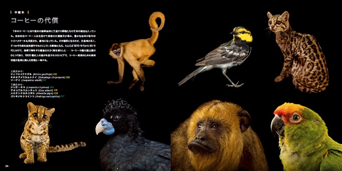 PHOTO ARK 消えゆく動物 サンプル画像⑤