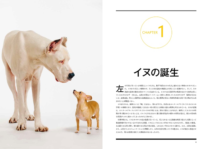 ナショナル ジオグラフィック別冊 犬の能力 サンプル画像①
