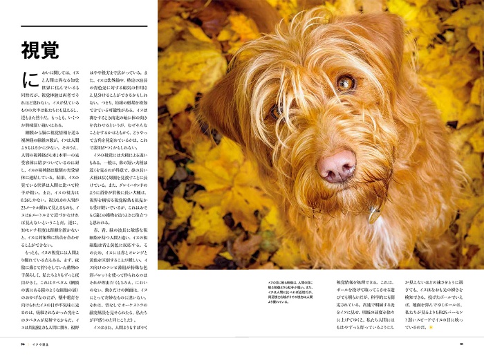 ナショナル ジオグラフィック別冊 犬の能力 サンプル画像③