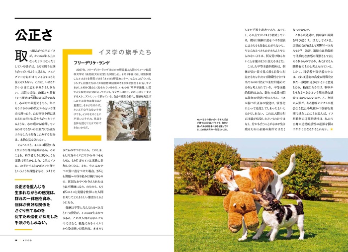 ナショナル ジオグラフィック別冊 犬の能力 サンプル画像⑤