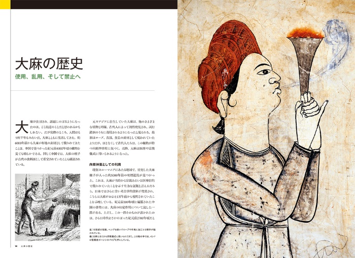 ナショジオ別冊 マリファナ サンプル画像②