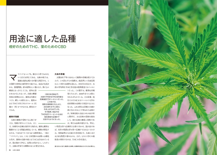 マリファナ ストア ナショナルジオグラフィック日本版サイト マリファナ ストア ナショナルジオグラフィック日本版サイト