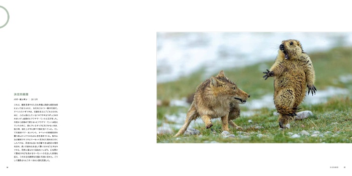 世界一の動物写真 増補改訂版 サンプル画像③