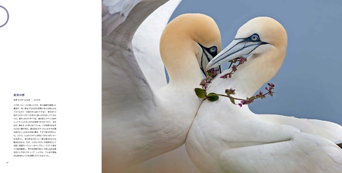 世界一の動物写真 増補改訂版 サンプル画像⑤