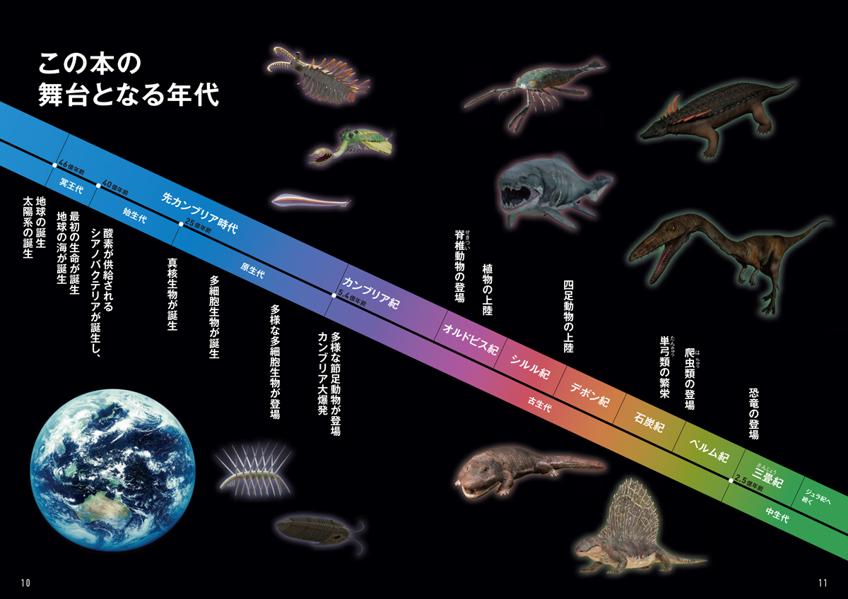 ダーウィンが来た！ 生命大進化 第１集 生き物の原型が作られた