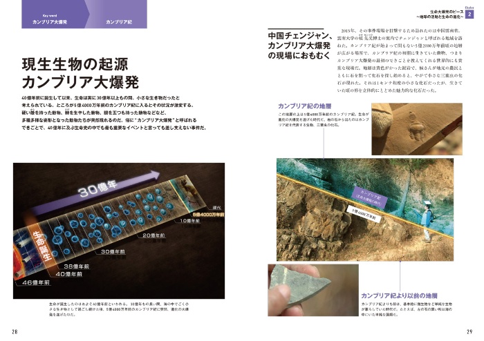 ダーウィンが来た! 生命大進化 第1集 生き物の原型が作られた(古生代~中生代 三畳紀) サンプル画像③ 原生生物の起源 カンブリア大爆発