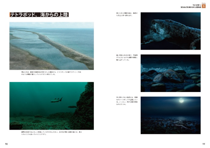 ダーウィンが来た! 生命大進化 第1集 生き物の原型が作られた(古生代~中生代 三畳紀) サンプル画像⑥ テトラポッド、海からの上陸