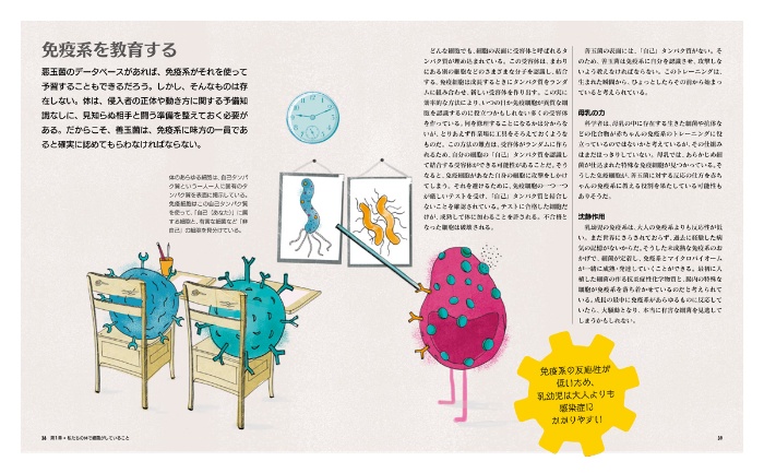 ビジュアル 細菌のはたらき パーフェクトガイド サンプル画像②